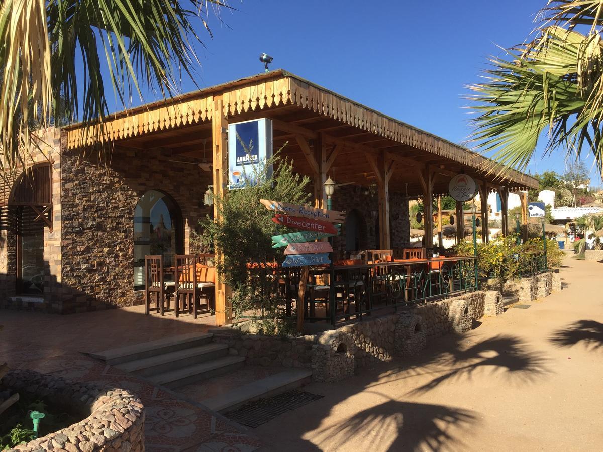 Sharks Bay Oasis Apartment Sharm el-Sheikh Exteriör bild